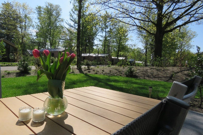 Tulpen op de terrastafel met uitzicht op de tuin.